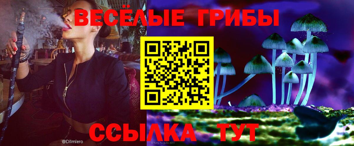 Галлюциногенные грибы Magic Shrooms Менделеевск